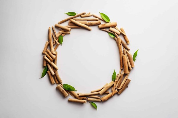 How can sustainable seafood choices help conserve marine ecosystems and species?