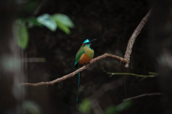 What Are the Innovative Approaches to Product Packaging That Can Elevate Brand Perception?