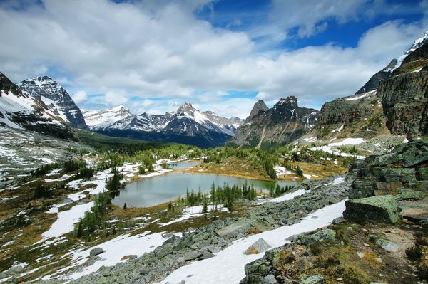 What Are the Approaches for Managing Performance Plateaus in Weightlifting?